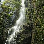 Kniebis 2009 Bild 36